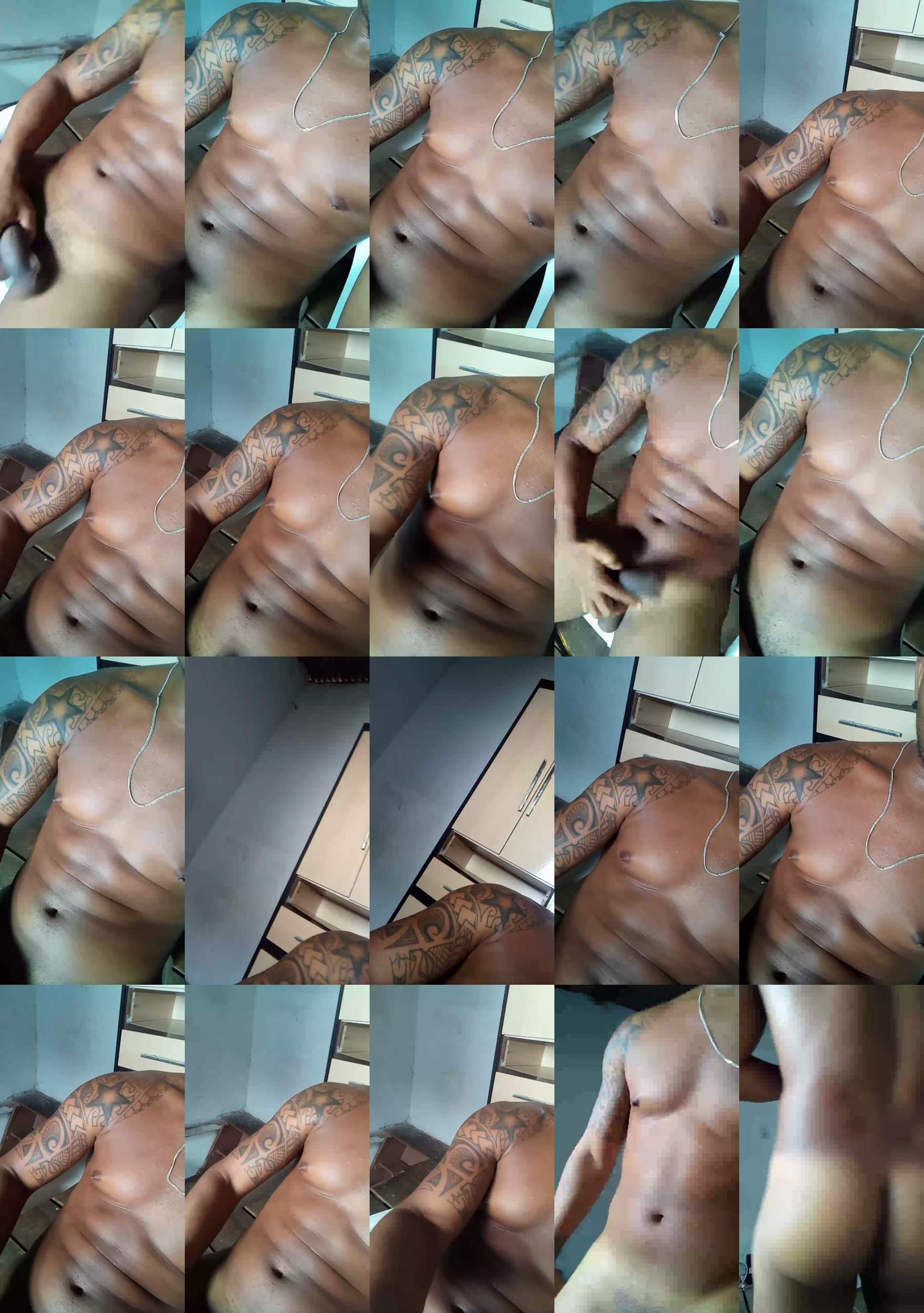 Dogsafado02  19-03-2022